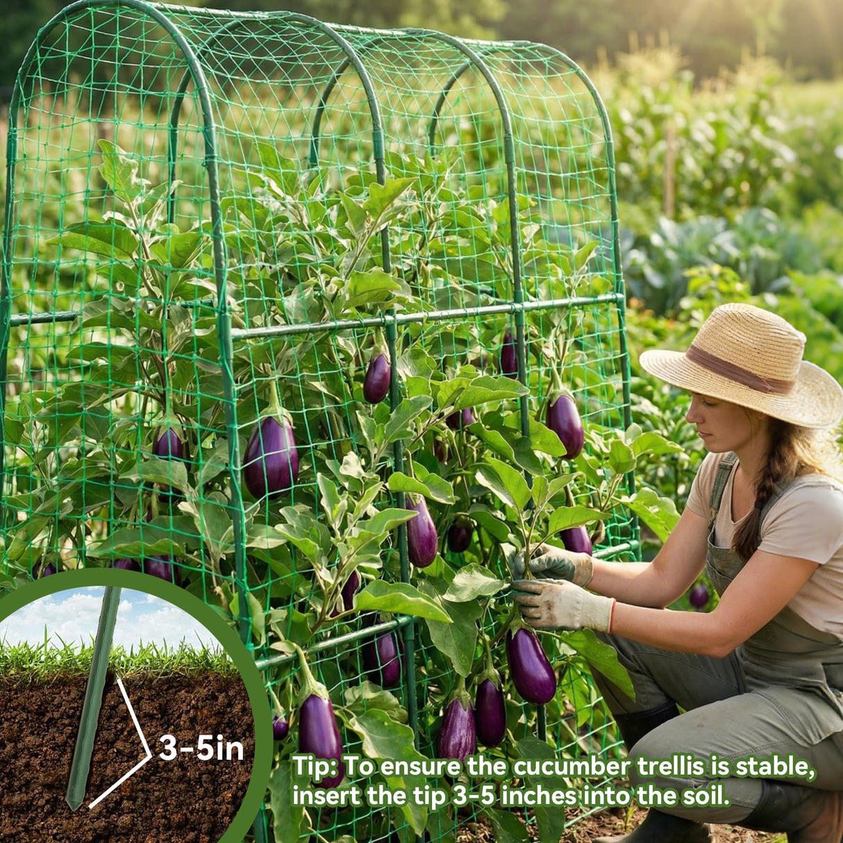 TOCCYARD Cucumber Trellis for Raised Bed, U-Shape Garden Trellis for Climbing Plants Outdoor, Metal Arch Trellis for Vegetables, Plant Support for Tomato, Pea, Zucchini, Squash
