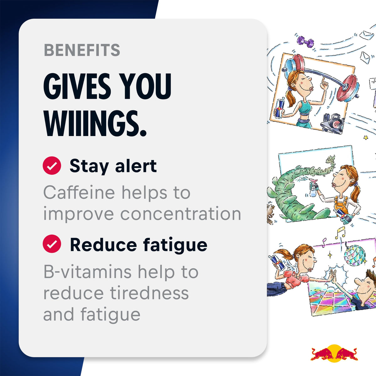 Red Bull Energy Drink Variety Advent Calendar Pack
