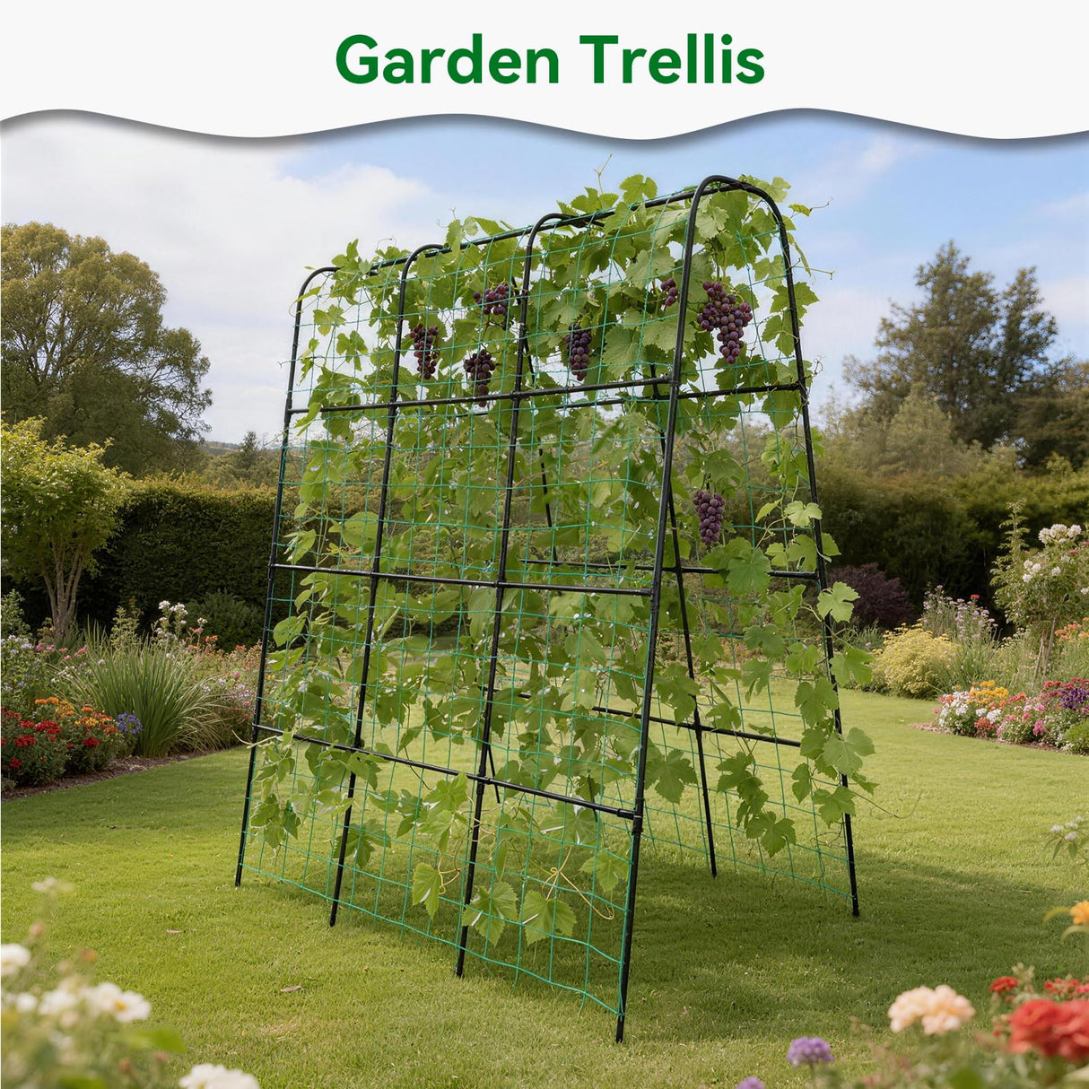 Trellume Cucumber Trellis - 62.4"*50" Cucumber Trellis for Raised Bed with Plastic-Coated Steel Pipe, U-Shape Garden Trellis for Climbing Plants, Garden Trellis for Cucumbers, Beans(Black)