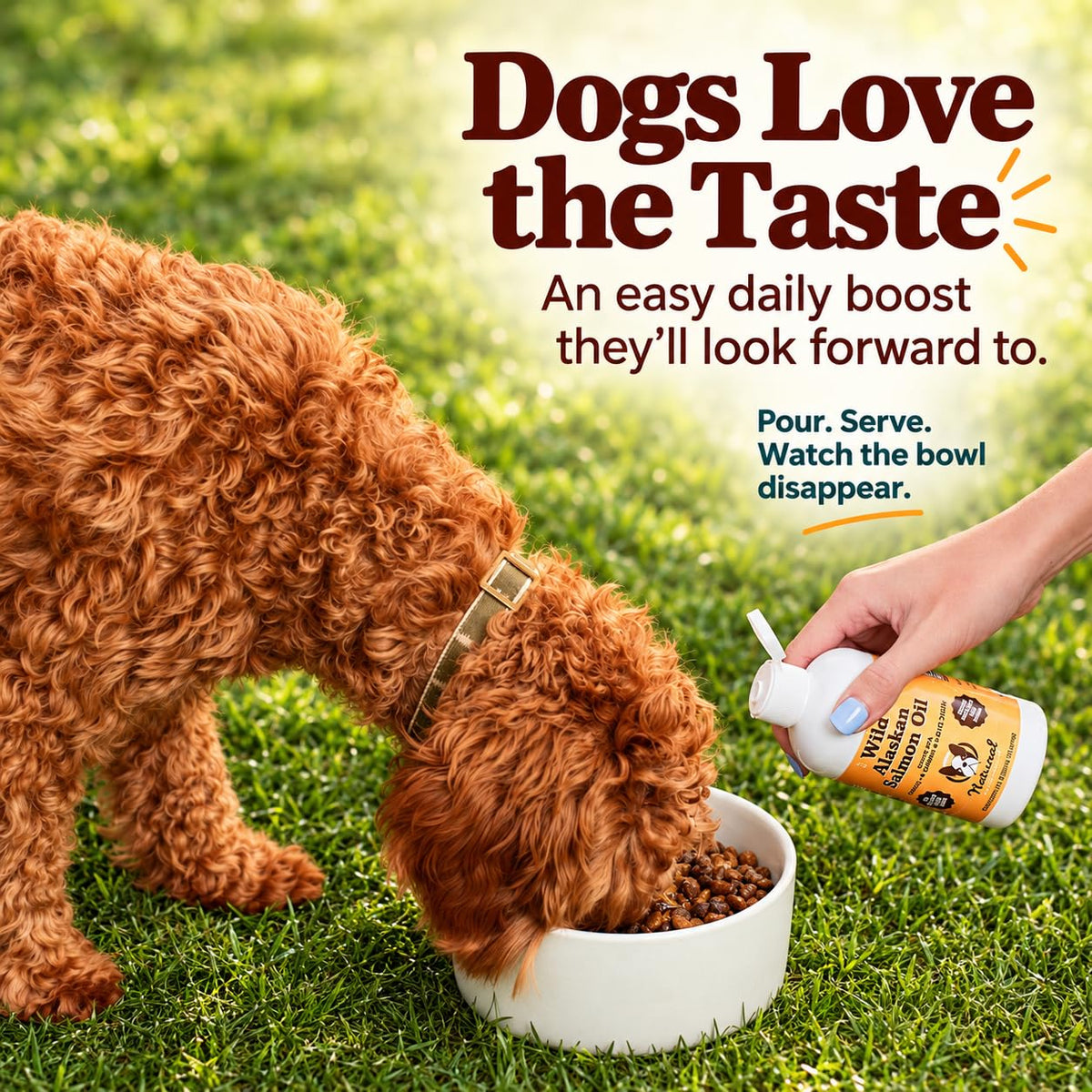Natural Dog Company Wild Alaskan Salmon Oil for Dogs - 16 oz