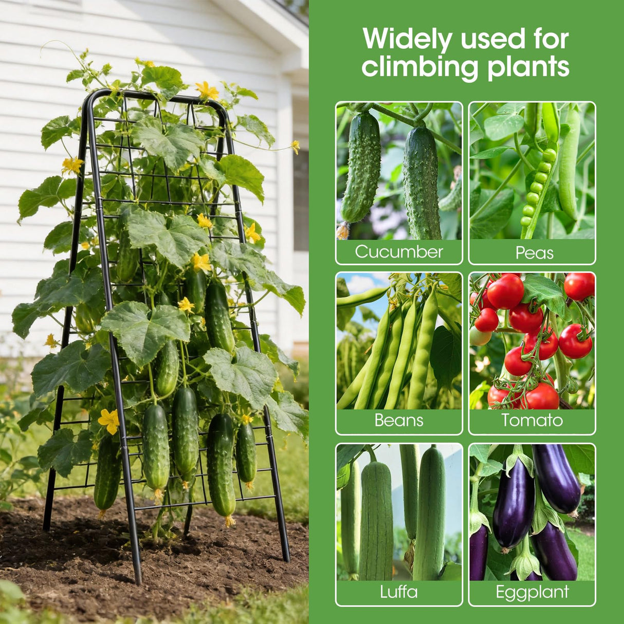 Heavy Duty Cucumber Trellis, 50" x 17" A-Frame Garden Trellis.1Pack