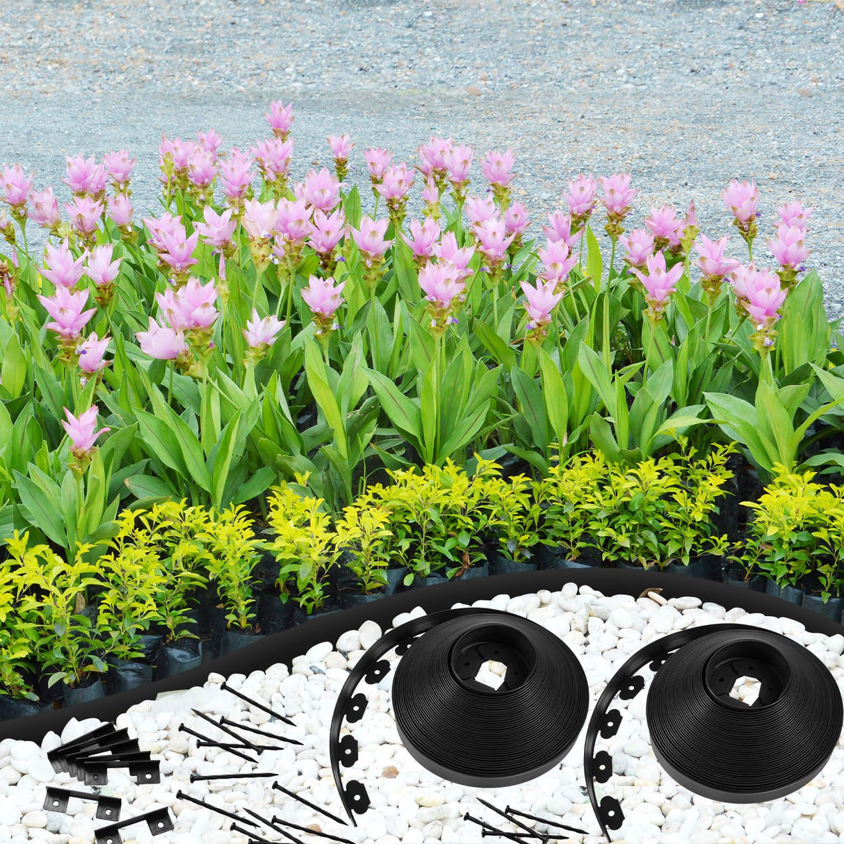 Sasylvia 2.5 Inch x 200 FT Landscape Edging Kit Garden Edging Border with 120 Spikes 10 Connectors Flexible Plastic Edge Border for Landscaping Lawn Garden Flower Beds Yard Paver Pathway(Black)