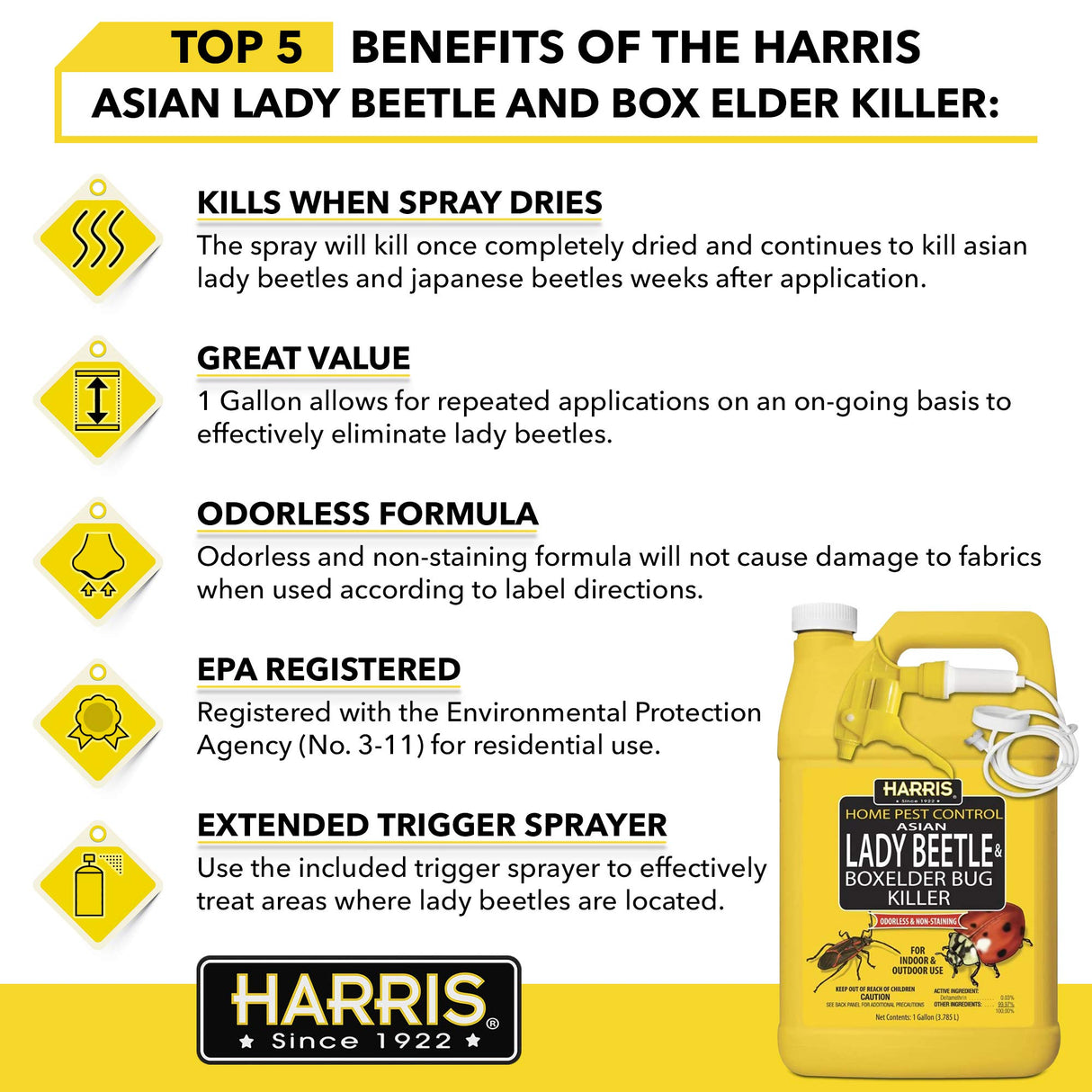 Harris Asian Lady Beetle, Japanese Beetle, and Box Elder Killer, Liquid Spray with Odorless and Non-Staining Extended Residual Kill Formula (Gallon)