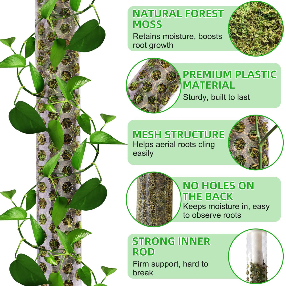 Fabulas 55 Inch Moss Pole Monstera Plant Support, 4 Pack 17 Inch Plant Support Stakes for Indoor Climbing Plants, Stackable Sphagnum Moss Pole Sticks for Garden Potted Planter, Pothos, Philodendron