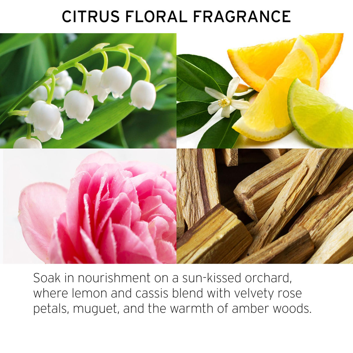 Fekkai Technician Color Shampoo - 1 Liter - Extends Vibrancy of Color-Treated Hair - Free of Sulfates, Parabens, Phthalates - Vegan, Cruelty-Free