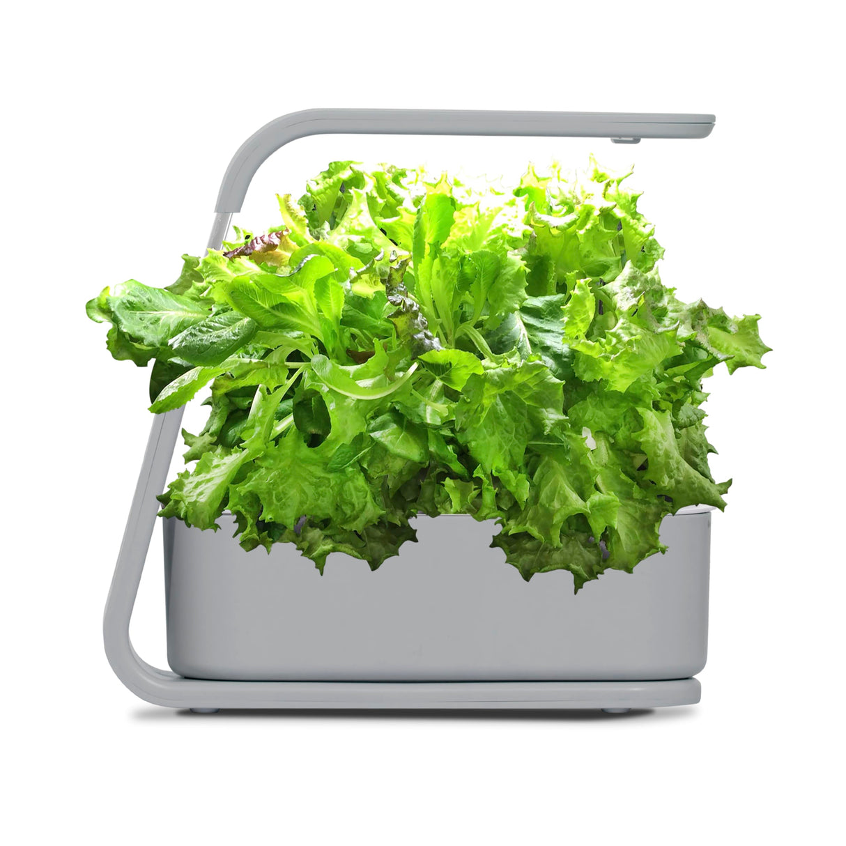 AeroGarden Sprout, Cool Gray