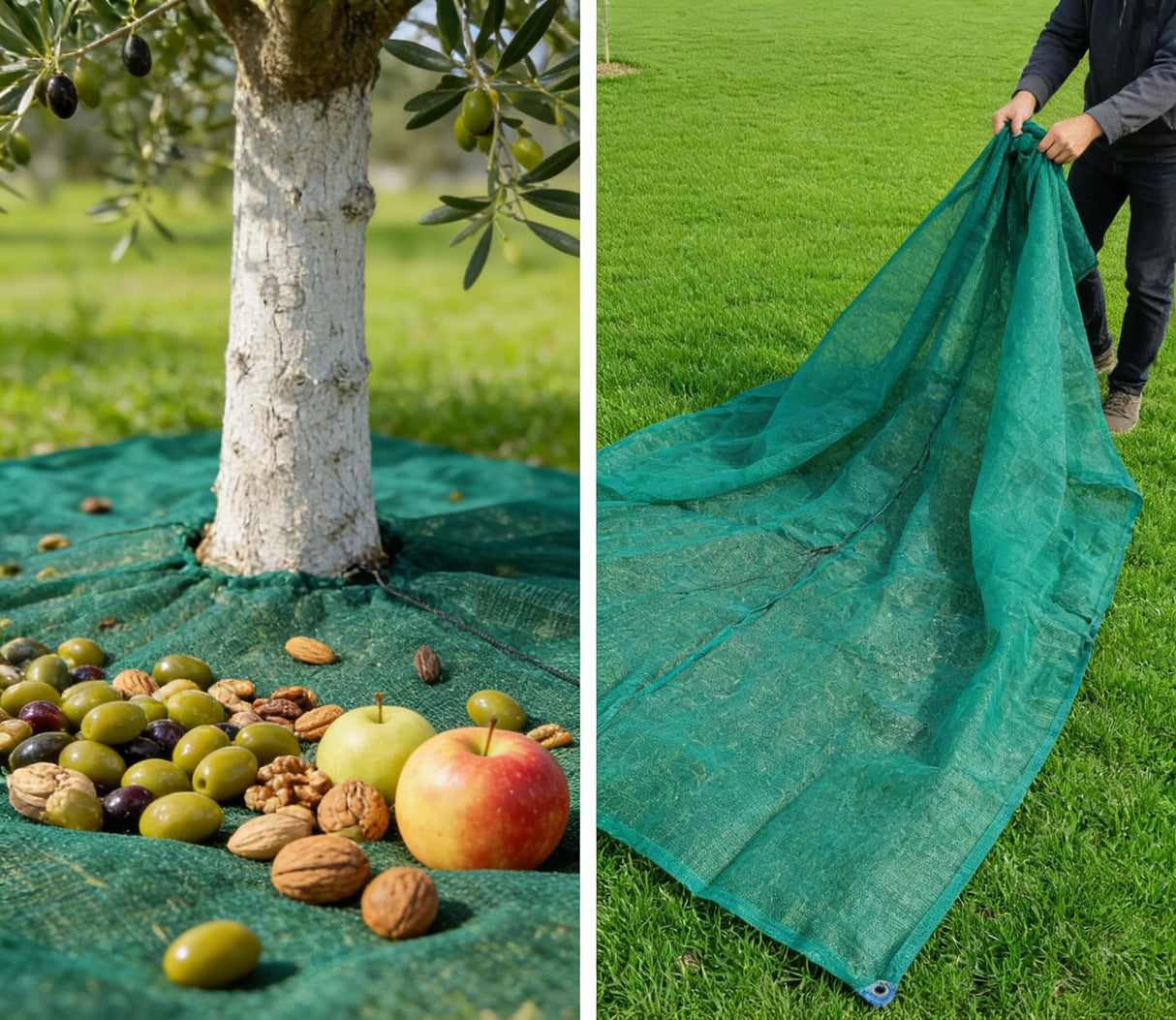 16.5×16.5FT HDPE Square Olive Harvest Net with Center Drawstring Opening,Heavy Duty Reusable Collection Net with Hoop and Loop Side & 4 Ground Stakes for Yard and Orchard