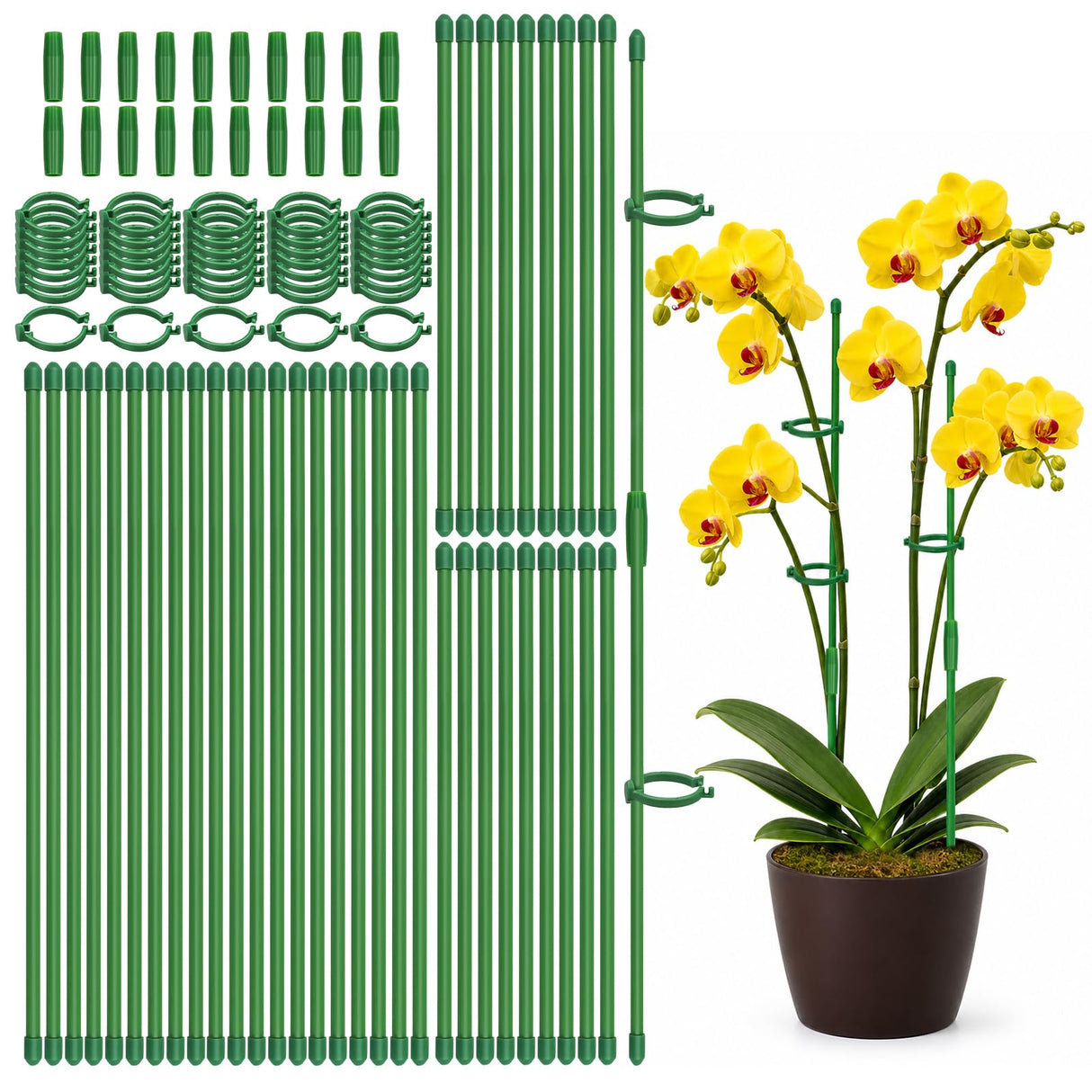 Catephe 40 Pcs Plant Support Stakes, Garden Stakes for Indoor Plants, Tall Adjustable Plant Sticks with 40 Clips and 20 Connectors for Monstera, Tomato, Vine Potted Plants