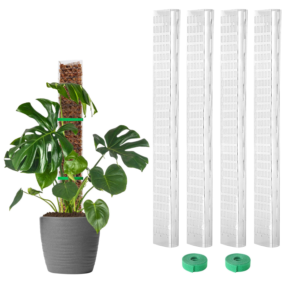 EOX Plastic Moss Pole for Monstera and Climbing Plants, 24-Inch, 4-Pack