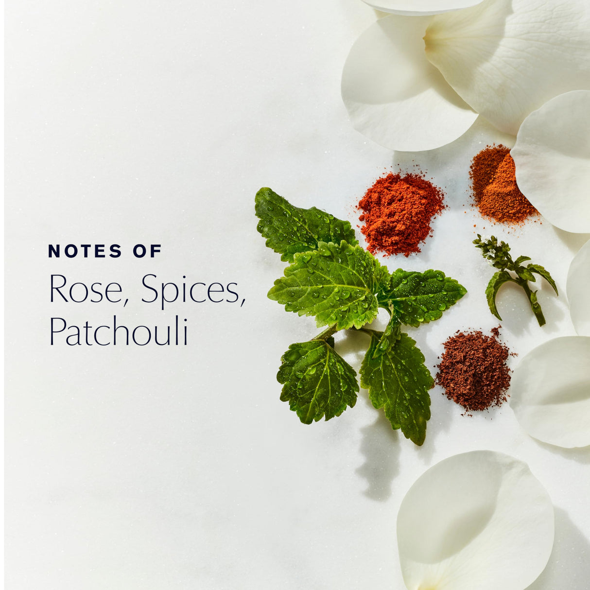 Estée Lauder Youth-Dew Bath Oil with Notes of Rose, Spices & Patchouli, 2.0 Fl Oz