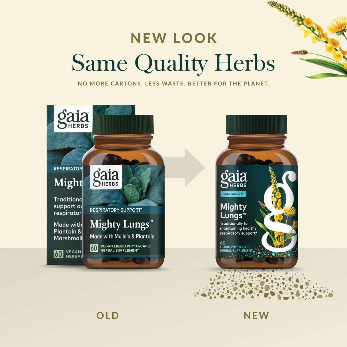 Gaia Herbs Mighty Lungs - Lung Support Supplement to Help Maintain Overall Lung & Respiratory Health* - With Mullein, Plantain, Schisandra & Elecampane - 60 Vegan Liquid Phyto-Capsules (30-Day Supply)