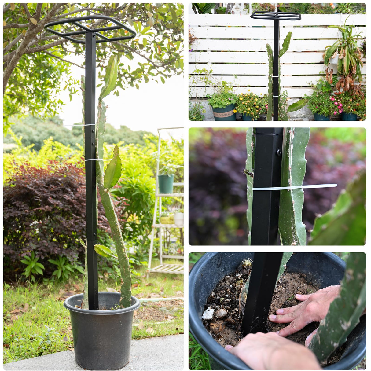 Yohsnor 2PCS 50" Metal Dragon Fruit Trellis,Durable Vertical Garden Support