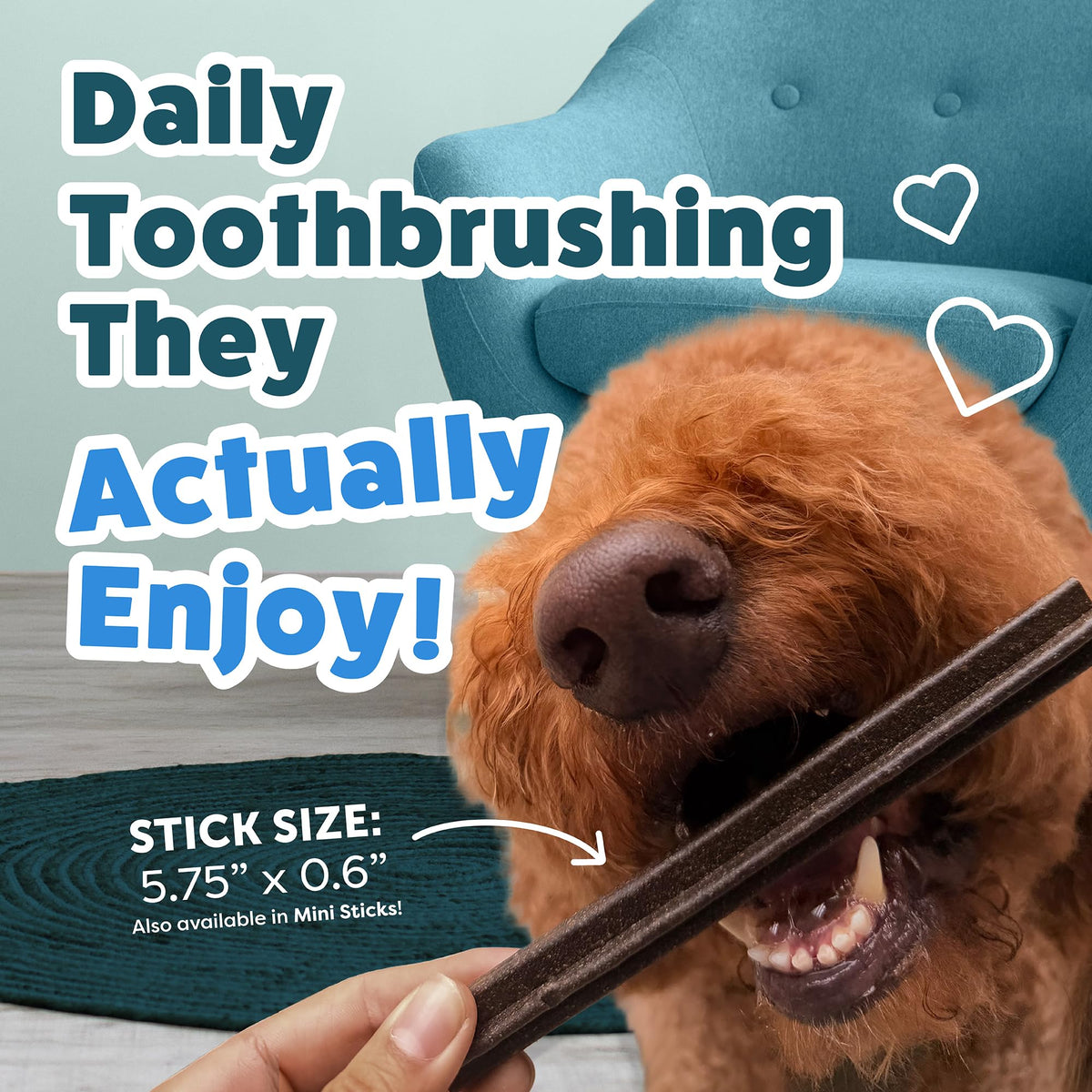 Shameless Pets Blueberry & Mint Dental Chews for Dogs, 32 Chews