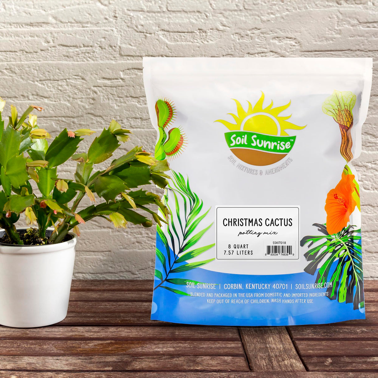 Soil Sunrise Christmas Cactus Potting Soil Mix (8 Quarts) Custom Blend for Xmas, Easter, and Thanksgiving Cactus Tropical Indoor Houseplants