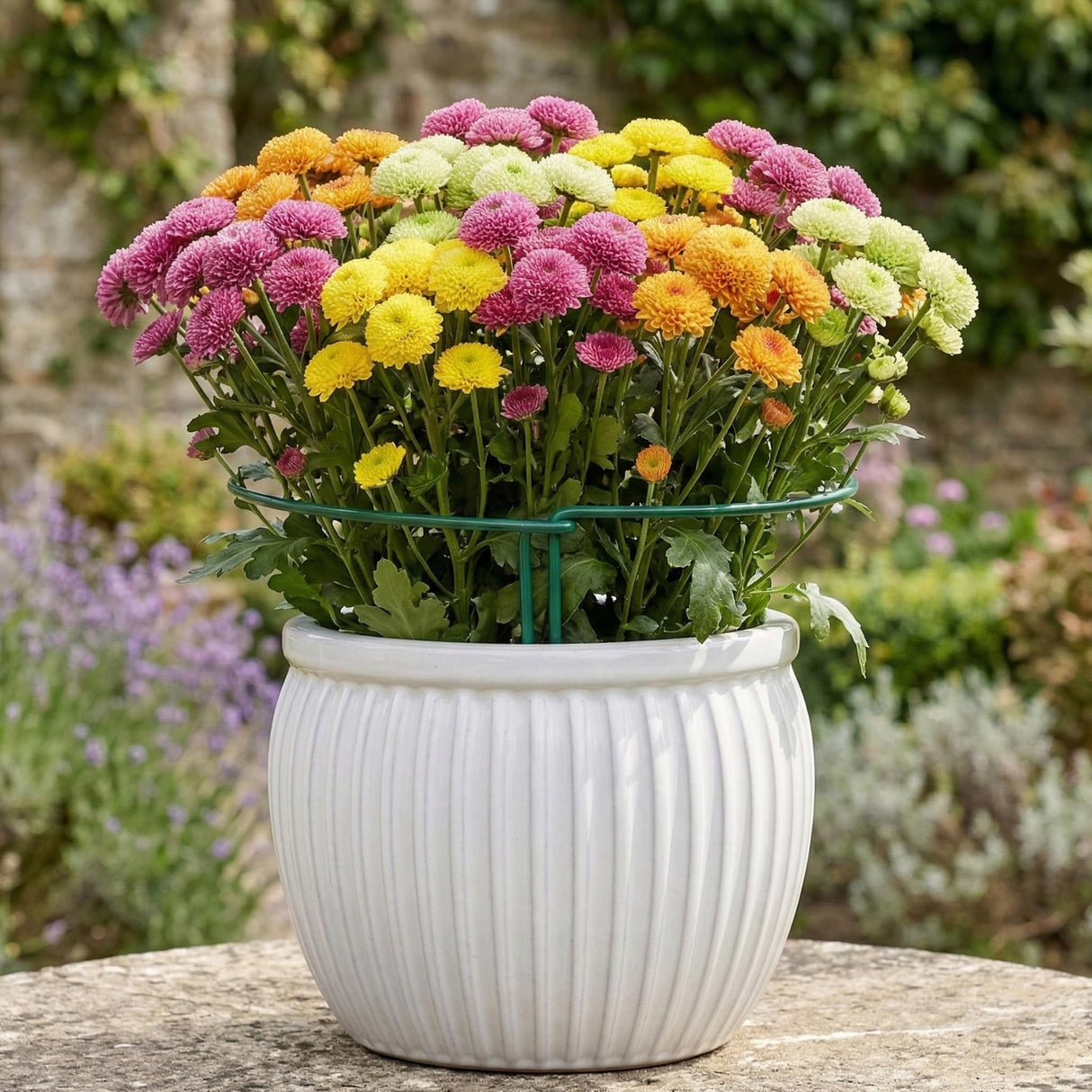 Thealyn 10 Pack Plant Support Stakes, 10" x 16" Peony Cages and Supports