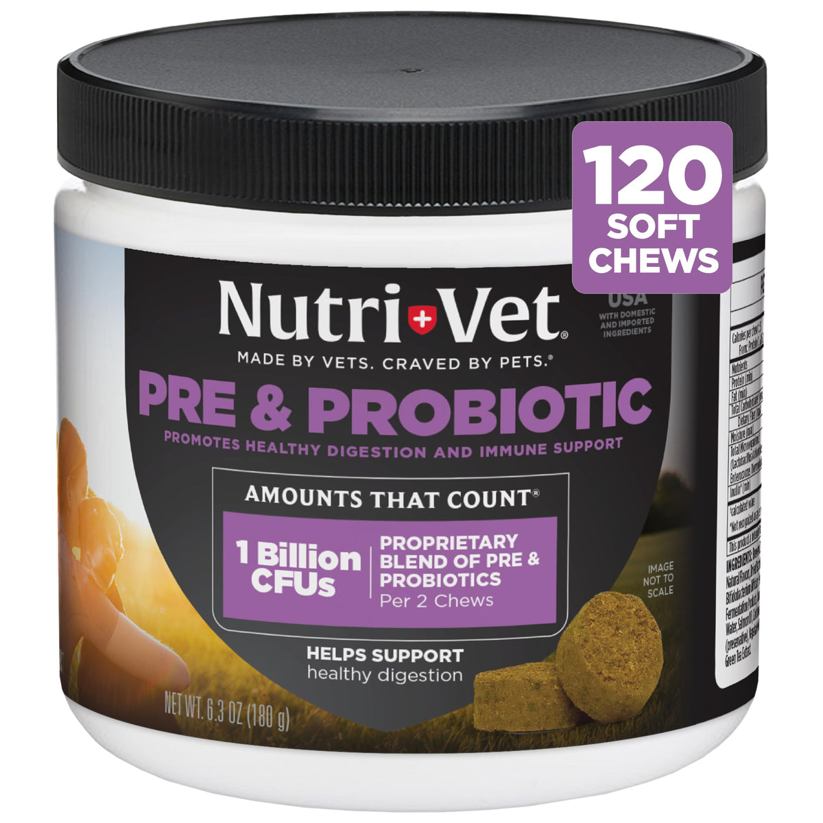 Nutri-Vet Pre & Probiotics for Dogs, Dog Probiotics, 120 Soft Chews