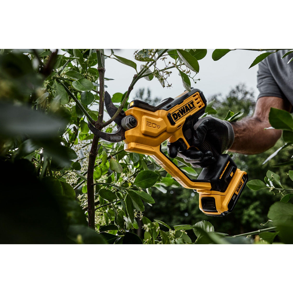 Dewalt 1.5" Pruning Shear, Ideal Gardening Tool, Quick and Precise Cuts, Up to 1,100 Cuts Per Load, Model DCPR320B, 20V