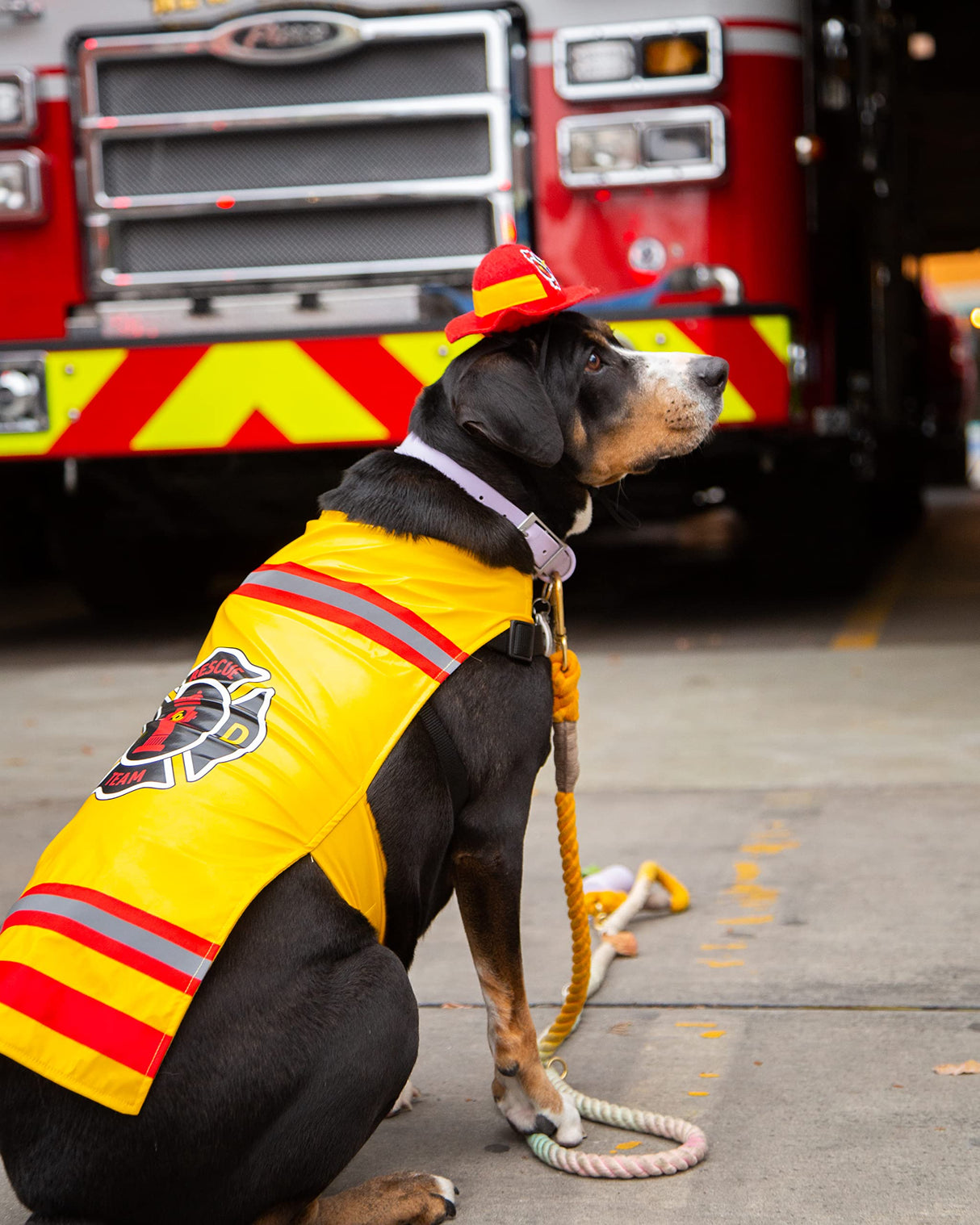 Pet Krewe Large Dog Firefighter Costume -Funny Halloween Pet Fireman Outfit Costumes for Fits Small, Medium, Large & Extra Large Pets - Perfect for Halloween, Christmas Holiday, Parties, Photoshoots
