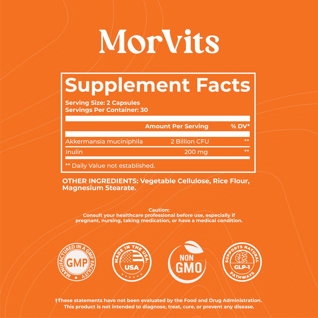 Akkermansia Probiotic | GLP-1 Supplement for Gut Health, Akkermansia Muciniphila, 2 Billion CFU Live Strain for Men & Women (60 Capsules, 1-Pack) - Inulin Prebiotic Fiber, Increases GLP1 Production