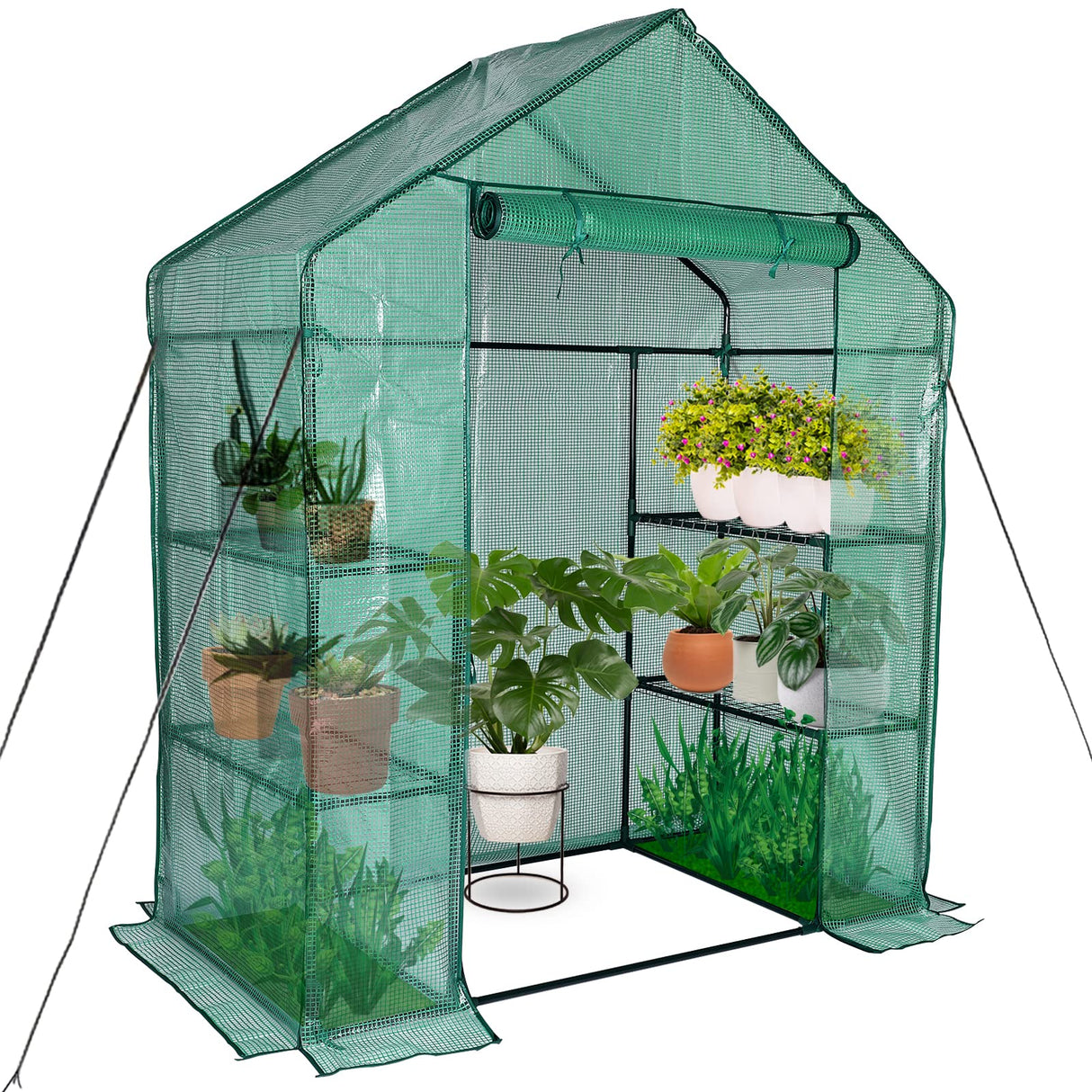 KOKSRY Mini Greenhouse,Greenhouses for Outdoors,Portable Walk in Green House for Garden Plants that Need Frost Protection and Away from Animals(56"x30"x76")-Green