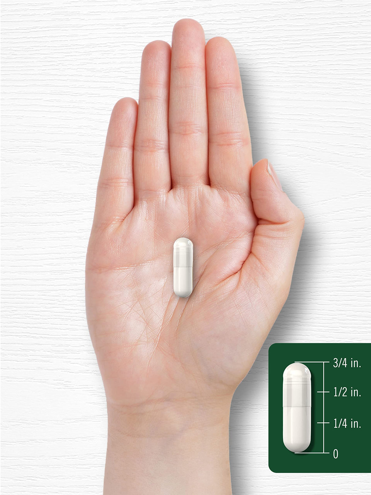 Carlyle Celery Seed Extract Capsules | 2000mg | 240 Count | Traditional Herb Supplement | Non-GMO and Gluten Free Formula