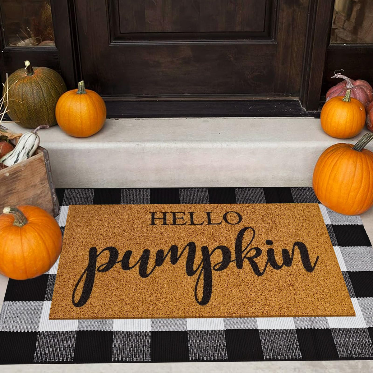 2 Pcs Fall Door Mat Combo Set Imitation Coir Welcome Mat, 43" x 28" Buffalo Plaid Rug Outdoor for Fall Halloween Thanksgiving Rustic Farmhouse Indoor Autumn Mats Hello Pumpkin (Black and White Plaid)