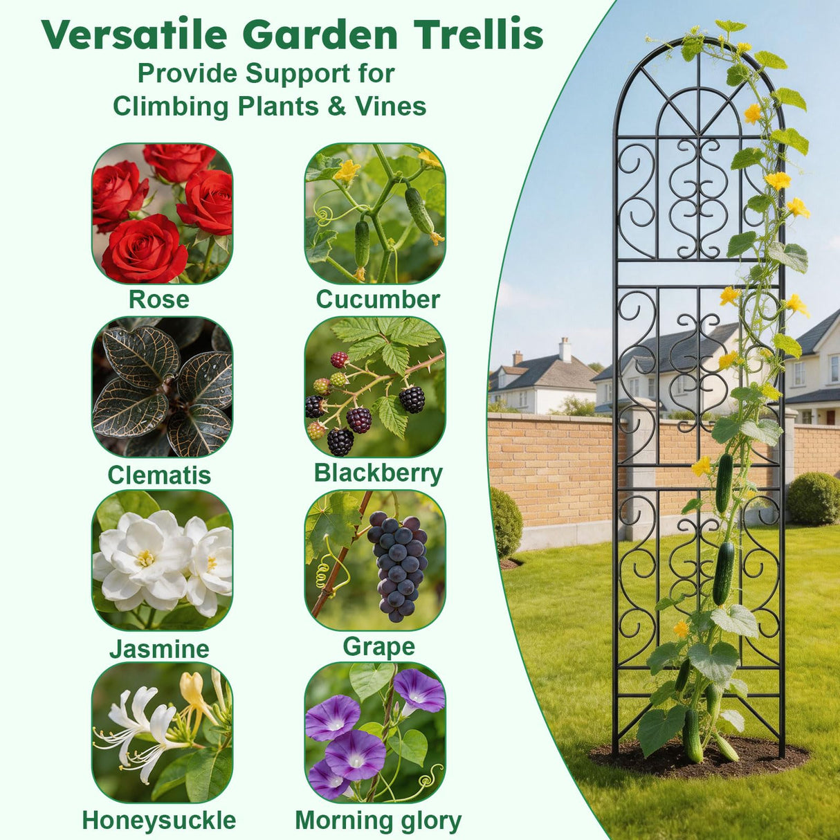 Shomextol 2 Pcs 60" H X 11.8" W Trellis for Climbing Plants Outdoor, Small Metal Garden Trellis for Outside, Sturdy Support Garden Plant Trellis Arch for Rose Cucumber Flower Vine Decor