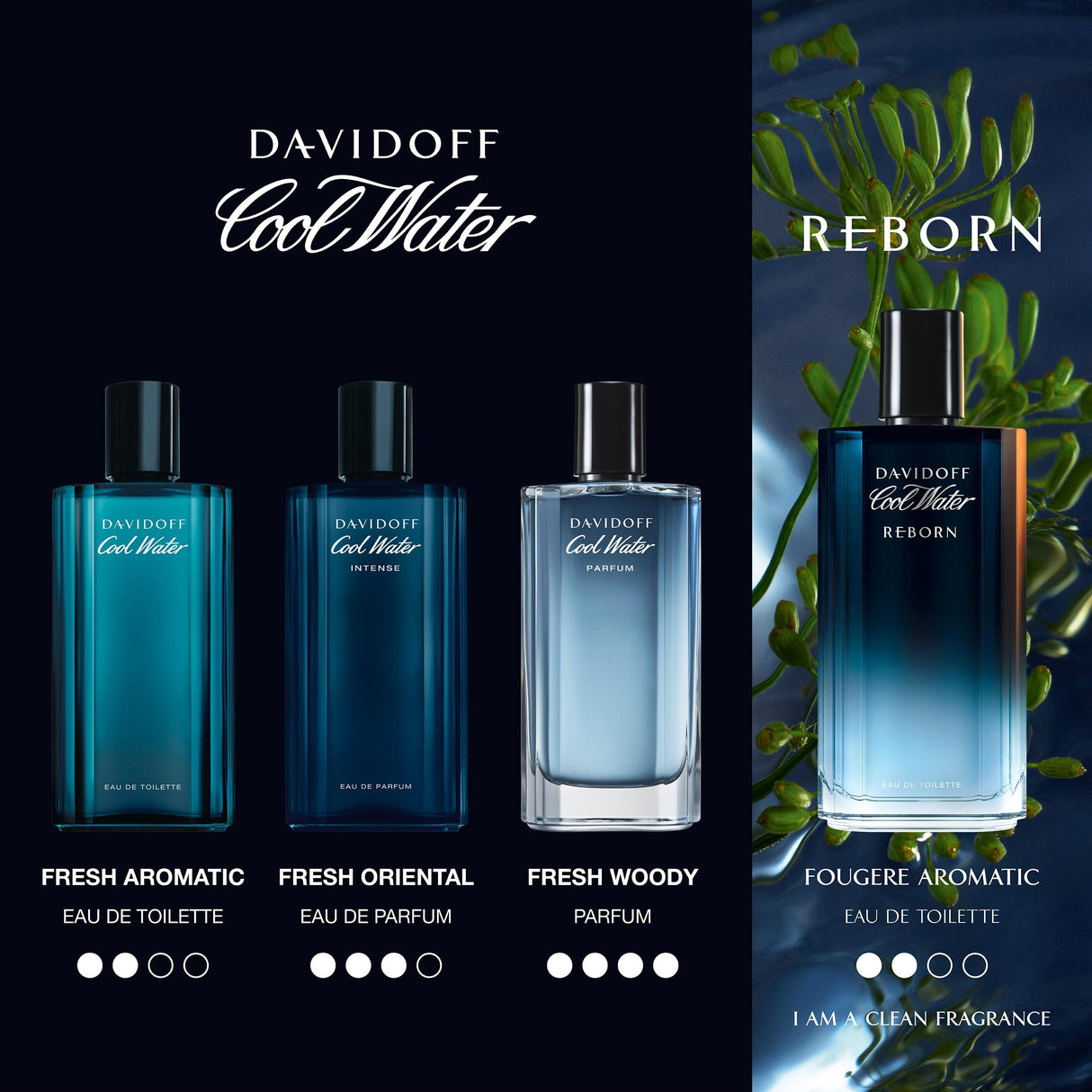 Davidoff Cool Water Intense Eau de Parfum 2.5 fl oz