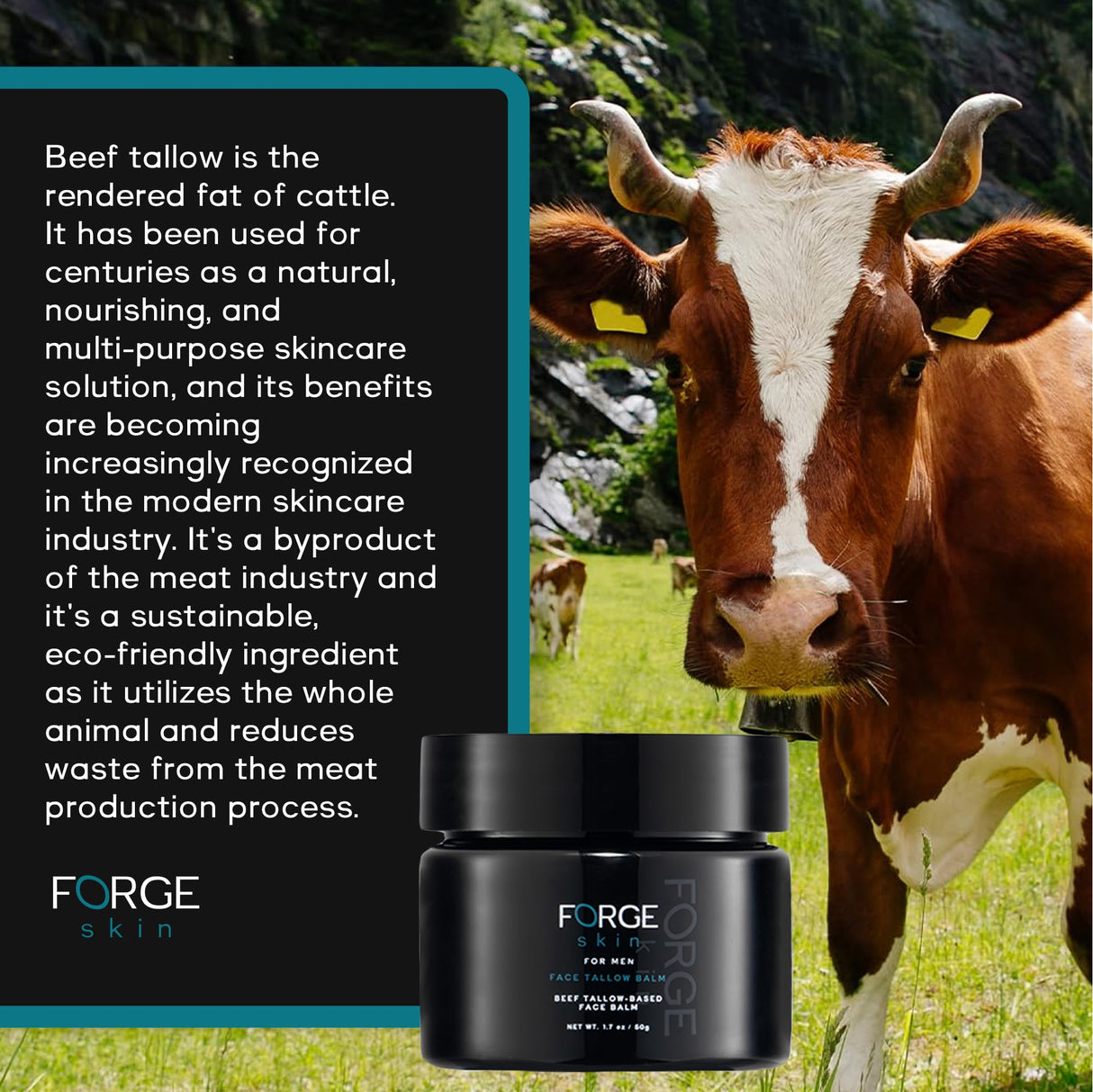 Forge Skin The Men's Wrinkle Defense Beef Tallow Balm for Skin | Beef Tallow for Skin Face Mens Skin Care Anti-Aging Cream Facial Skincare Face Moisturizer for Men |Mens Face Moisturizer Beef Tallow