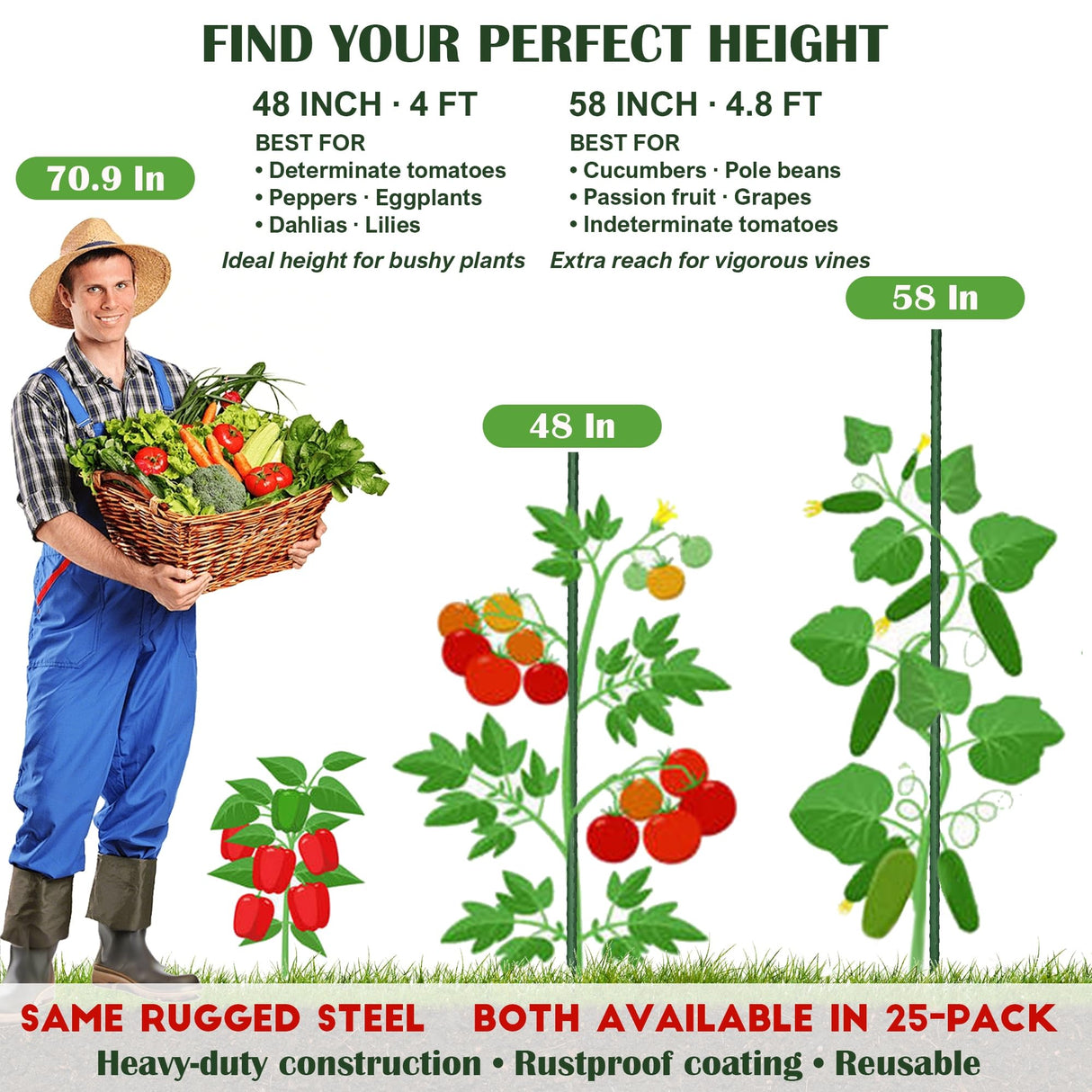 FORUP Garden Stakes, 25 Pack Steel Plant Stakes with Plastic Coating for Climbing Plants, Tomato Eggplant Bean Support, Rust-Resistant Outdoor Garden Stakes (58 Inch)