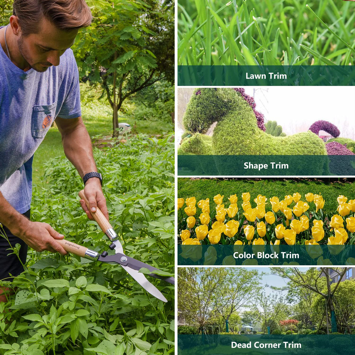 Berry&Bird Garden Hedge Shears,19.88''Heavy Duty Pruning Shear for Trimming Borders and Bushes, Manual Hedge Clippers with Wooden Handles & Carbon Steel Sharp Blades Gardening Scissors