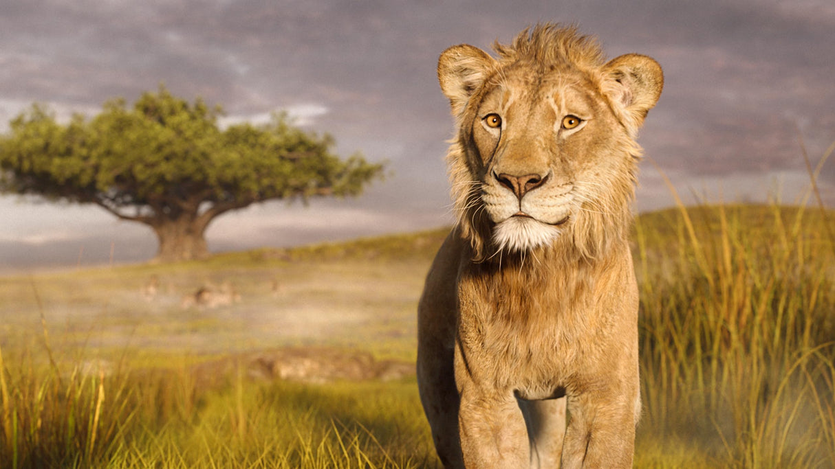 Mufasa: The Lion King - Blu-ray + DVD + Digital