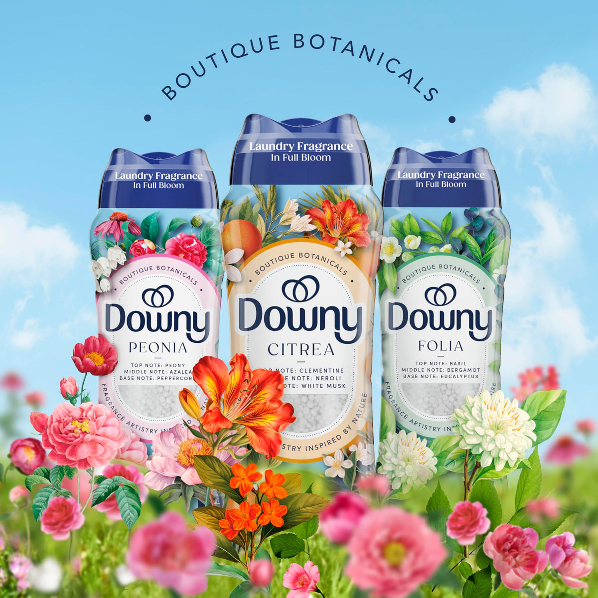 Downy Boutique Botanicals In Wash Laundry Scent Booster Beads, CITREA Scent, 21.1 oz, Boutique Fragrances Inspired by the Artistry of Nature