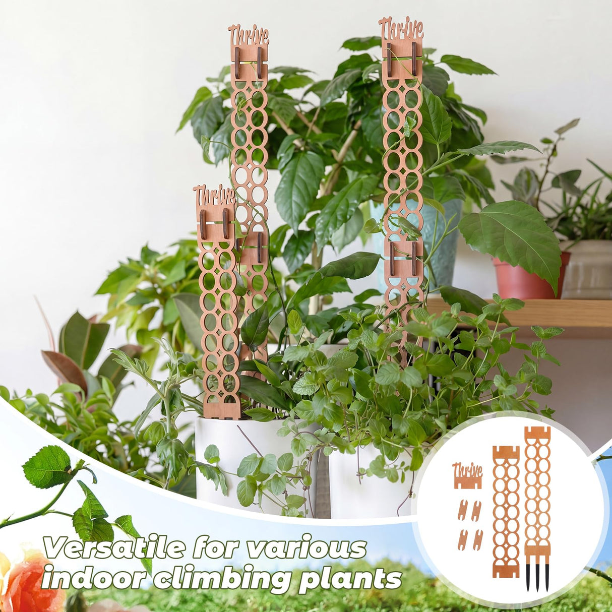 Otoolling 6 Sets Wooden Extendable Plants Trellis Indoor Modular Plant Trellis with Wood Thrive Sign Decor and Extensions for Outdoor Climbing Houseplants Vine Flower Stem(Circle)