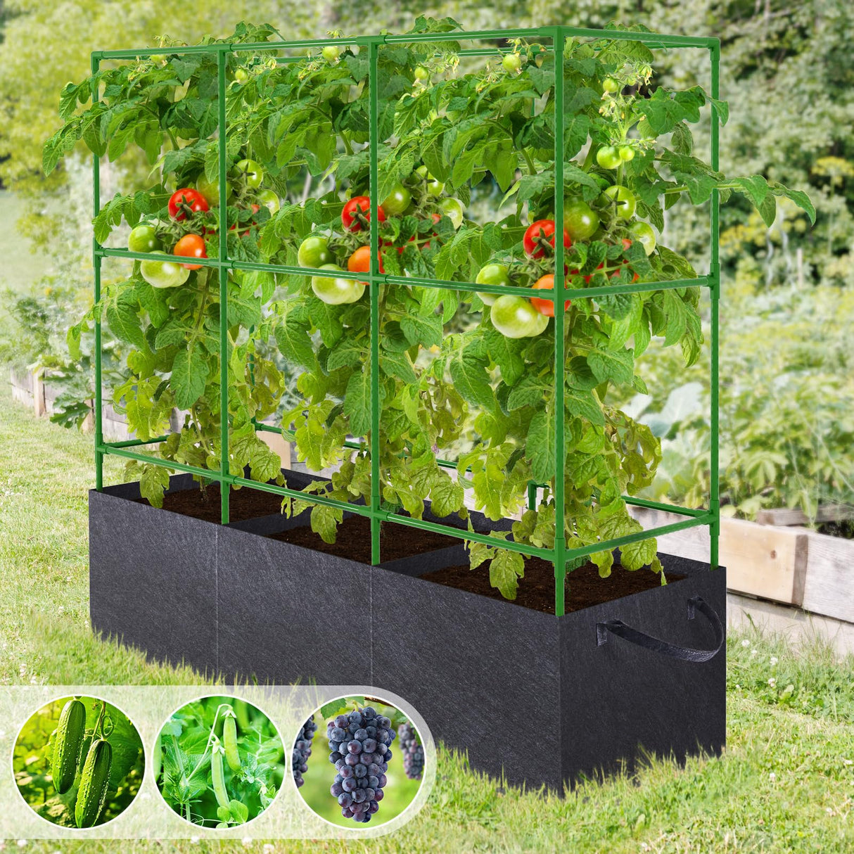 POILKMNI Tomato Cage 51×17×49 Inch with 46 Gallon Grow Bag