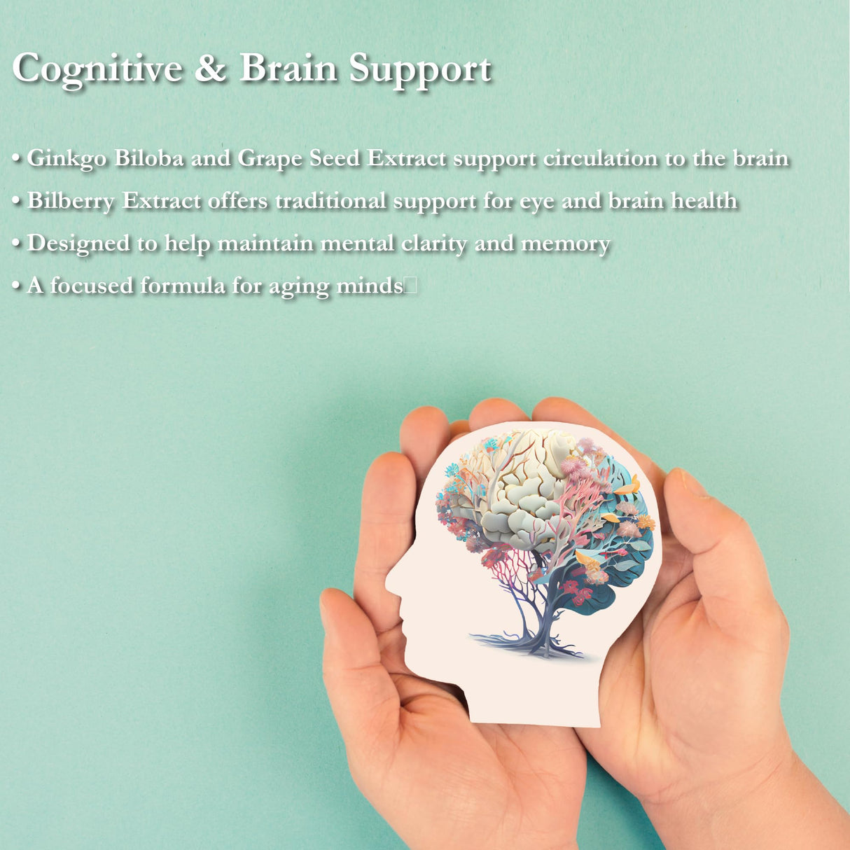 Buried Treasure Active 55 Plus - 32 serv, Liquid Multivitamin for Seniors, Vegan, Sugar-Free, Natural Immune Support, Vitamins & Super-Foods Blend