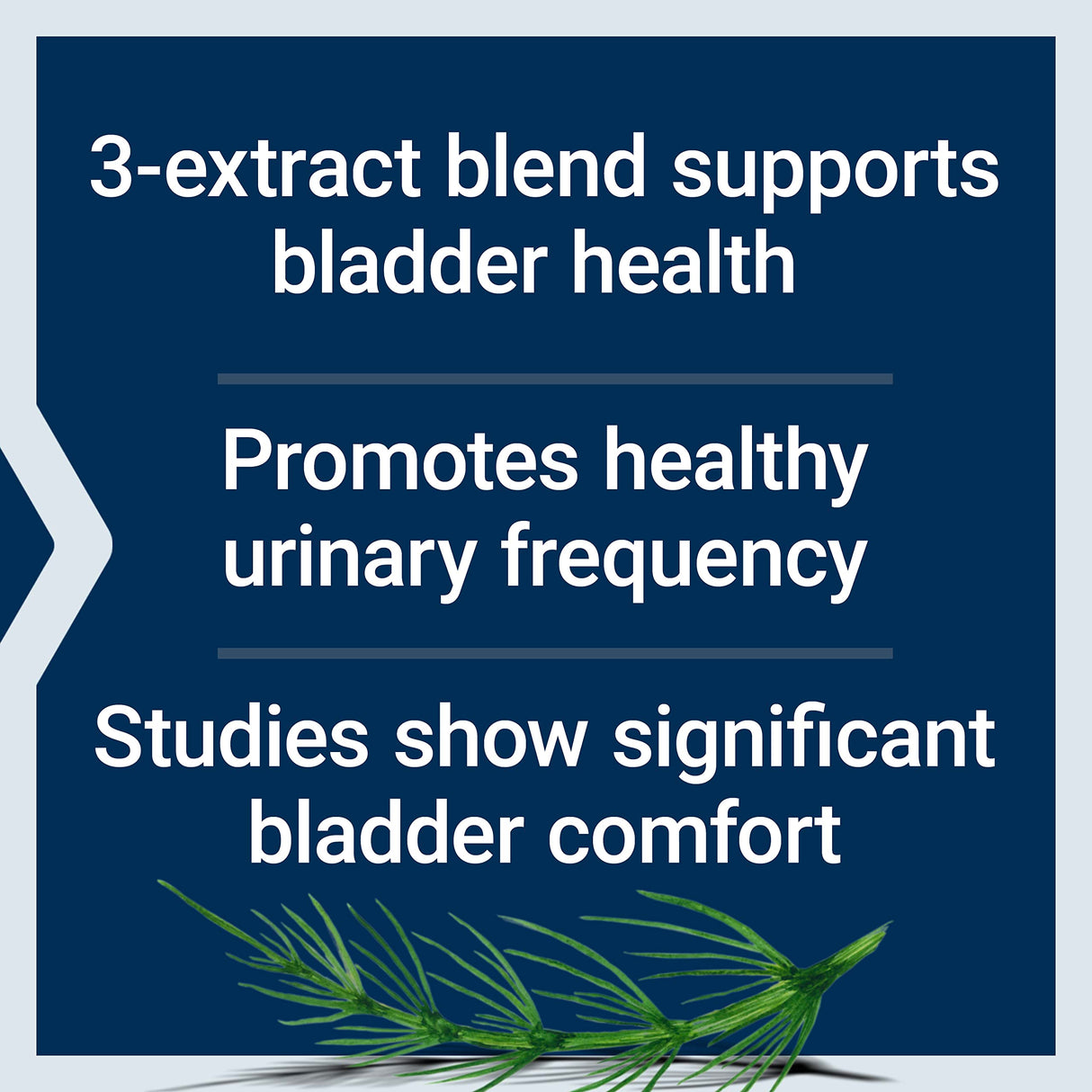 Life Extension Women's Bladder Support – for Bladder Health and Normal Urinary Frequency – Horsetail, Lindera and Three-Leaf Caper Extracts – Non-GMO – Gluten Free — 60 Vegetarian Capsules