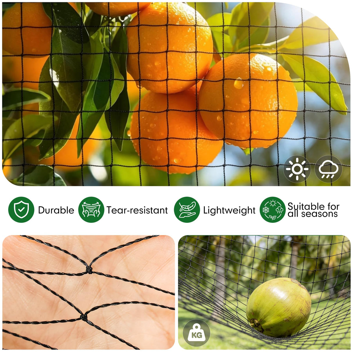 50 x 100 ft Bird Netting for Chicken coop 2.4" Mesh Poultry Netting, Protects Garden, Fruit Trees & Poultry from Birds & Small Animals