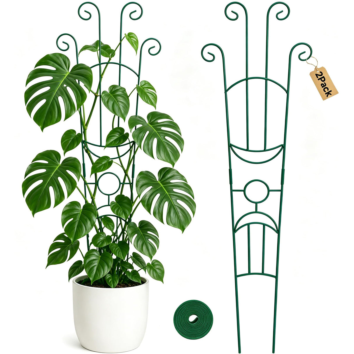 KINGLAKE Plant Trellis for Climbing Plants Indoor Outdoor - 2 Pack 32.7 Inch Green Expandable Metal Garden Trellis for Potted Climbing Plants Support Flower Vine Ivy Monstera Houseplant with Tape