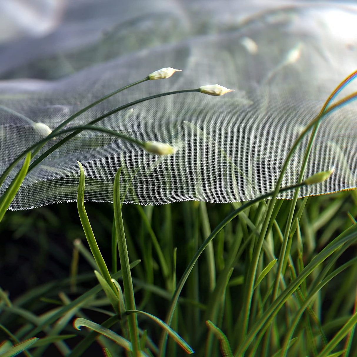 Garden Netting Pest Barrier: Ultra Fine 15'x20' Bug Netting