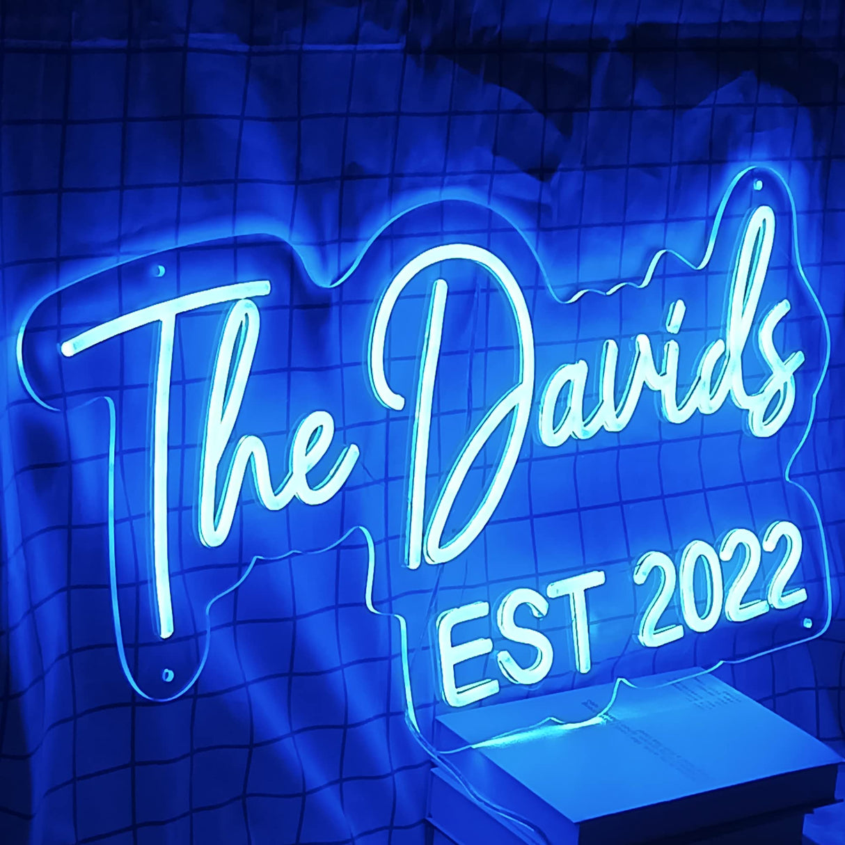Custom Neon Sign,Neon Sign Customizable for Wall Decor,Birthday Gift, Gifts for girl,Girlfrend, christmas,Wedding,Party,Bar,Salon,Personalized Family Name ligh for Bedroom Decor