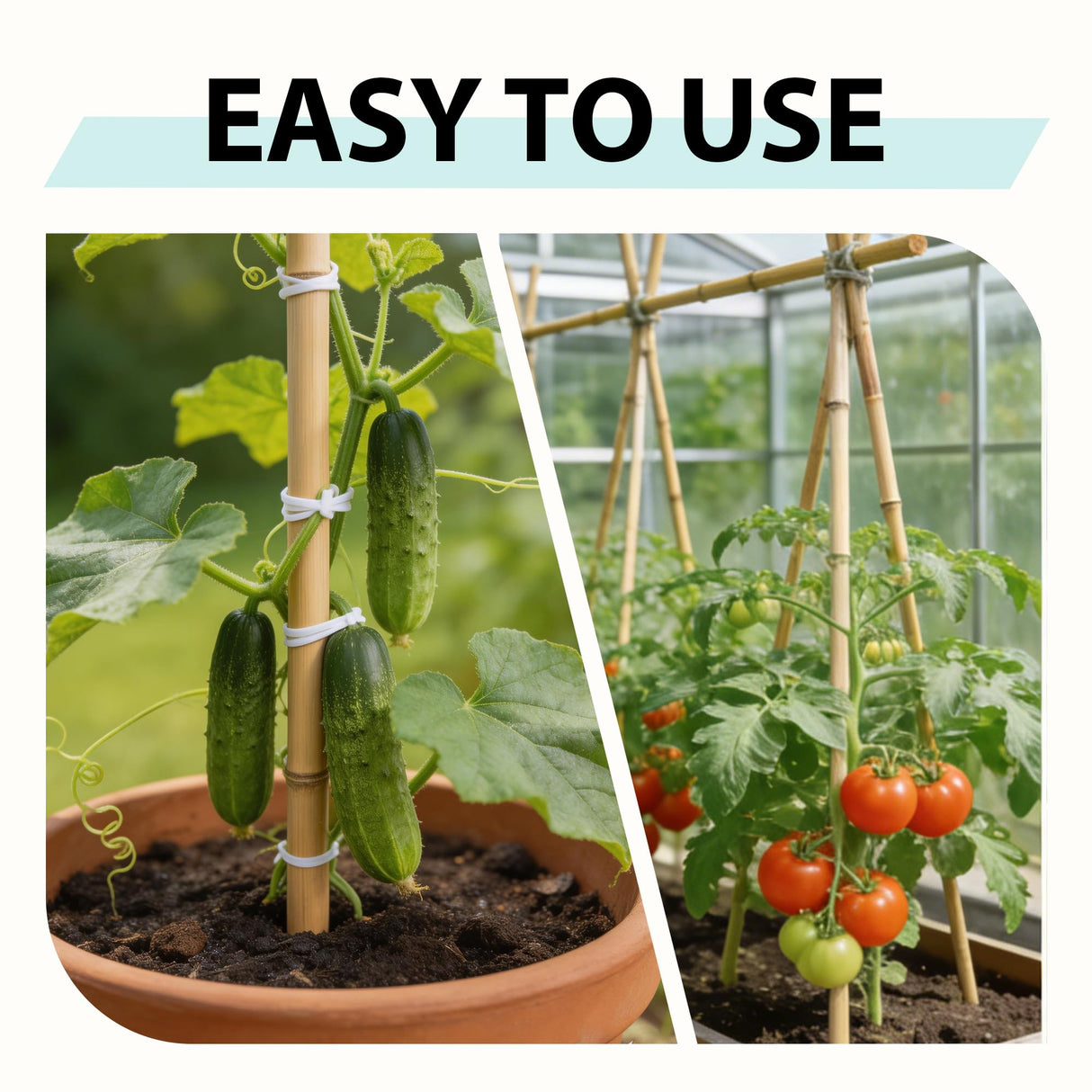 Latuxe Bamboo Stakes 6FT, 20pcs Garden Stakes 72in Specifically Designed for Climbing Plants, Ideal for Tomatoes, Beans, Cucumbers, Peppers, Vines, and More Plant Growth