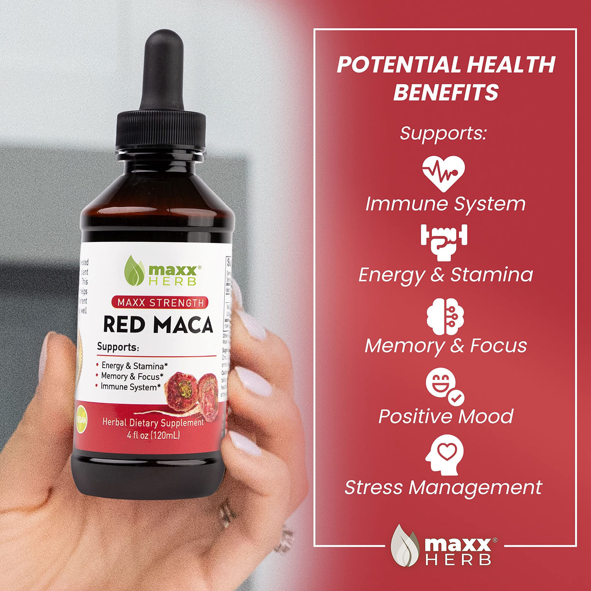 Maxx Herb Red Maca Root Extract - Max Strength Liquid Drops Absorb Better Than Powder or Capsules, for Stamina, Memory and Focus - 4 Oz Bottle (60 Servings)