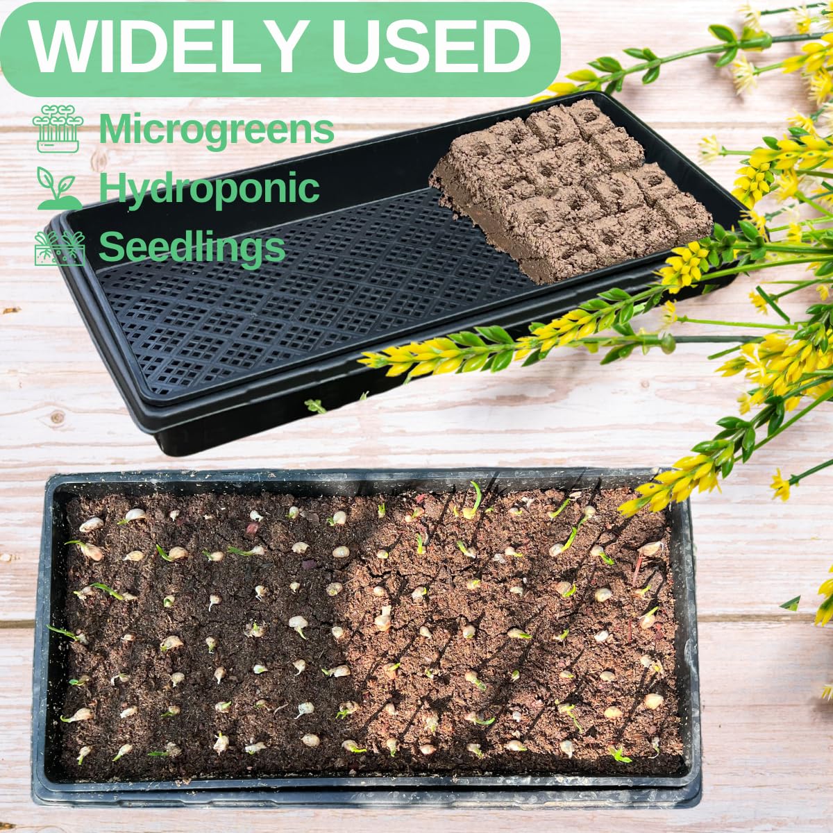 ILITING 1020 Trays Set - 5 Pack (10 Pcs) Durable 1020 Mesh Tray and No-Hole Tray, Ideal Soil Blocking Trays for Seedlings, Microgreens, and Hydroponics, Heavy-Duty