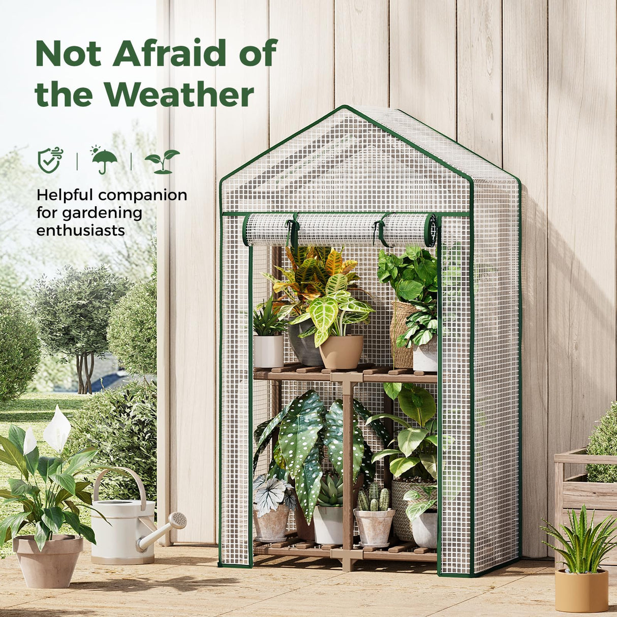 Bamworld Mini Greenhouse Indoor Small Portable 2-Tier Green House for Seed Starting Plant Grow Warmer and Home Gardening Display