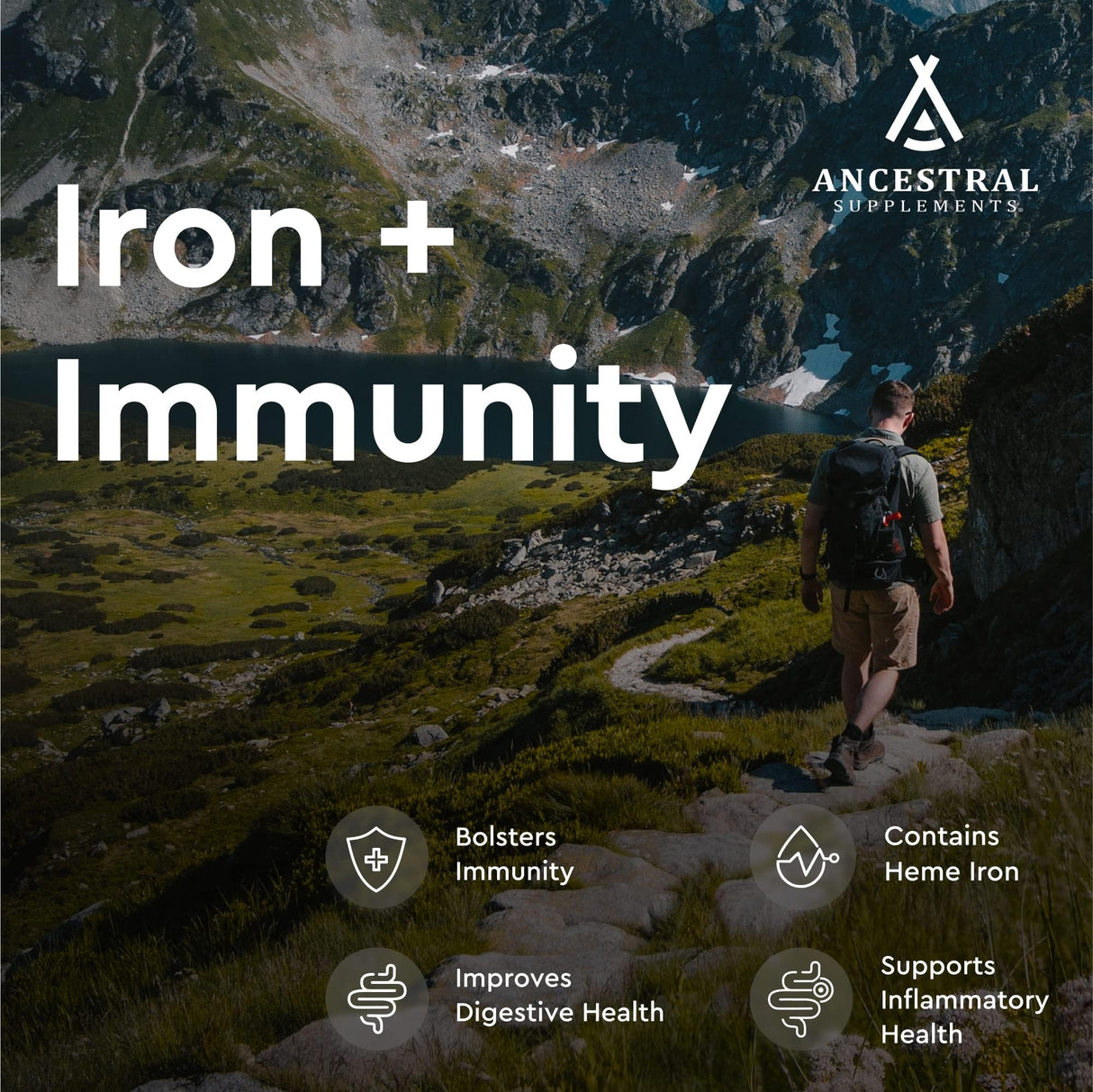 Ancestral Supplements Grass Fed Beef Spleen Supplement, 3000mg Beef Organ Spleen Support Formula Promotes Digestive, Immune, Iron, Energy and Allergy Health, Non GMO, 180 Capsules