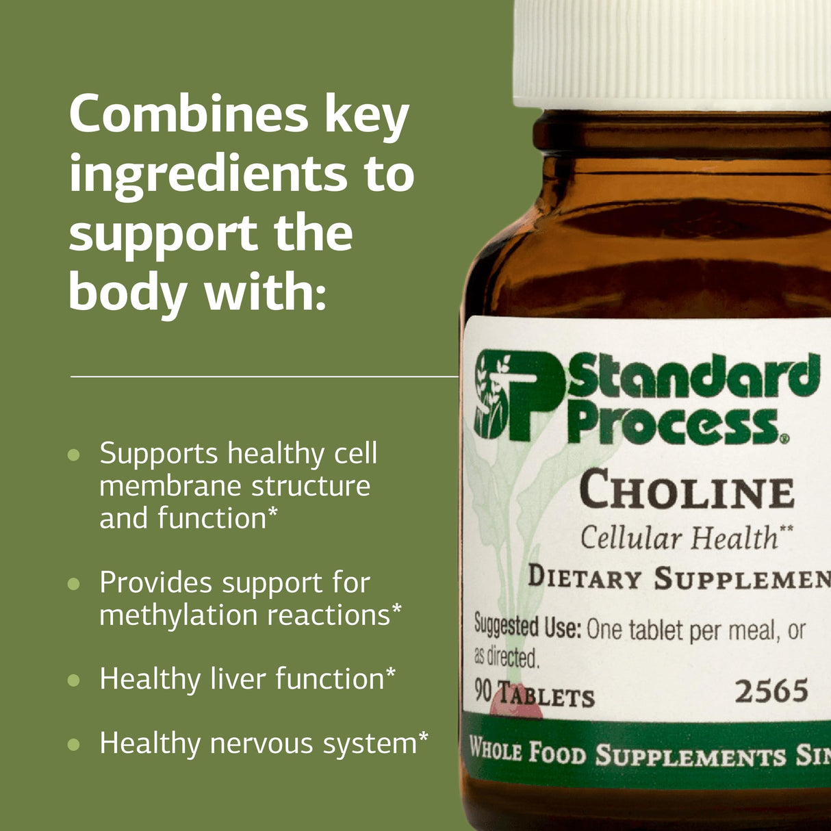 Standard Process Choline - Supports Healthy Fat Metabolism, Liver Health & Nervous System Function - Gluten-Free, Non-Dairy & Vegetarian -180 mg, 90 Tablets