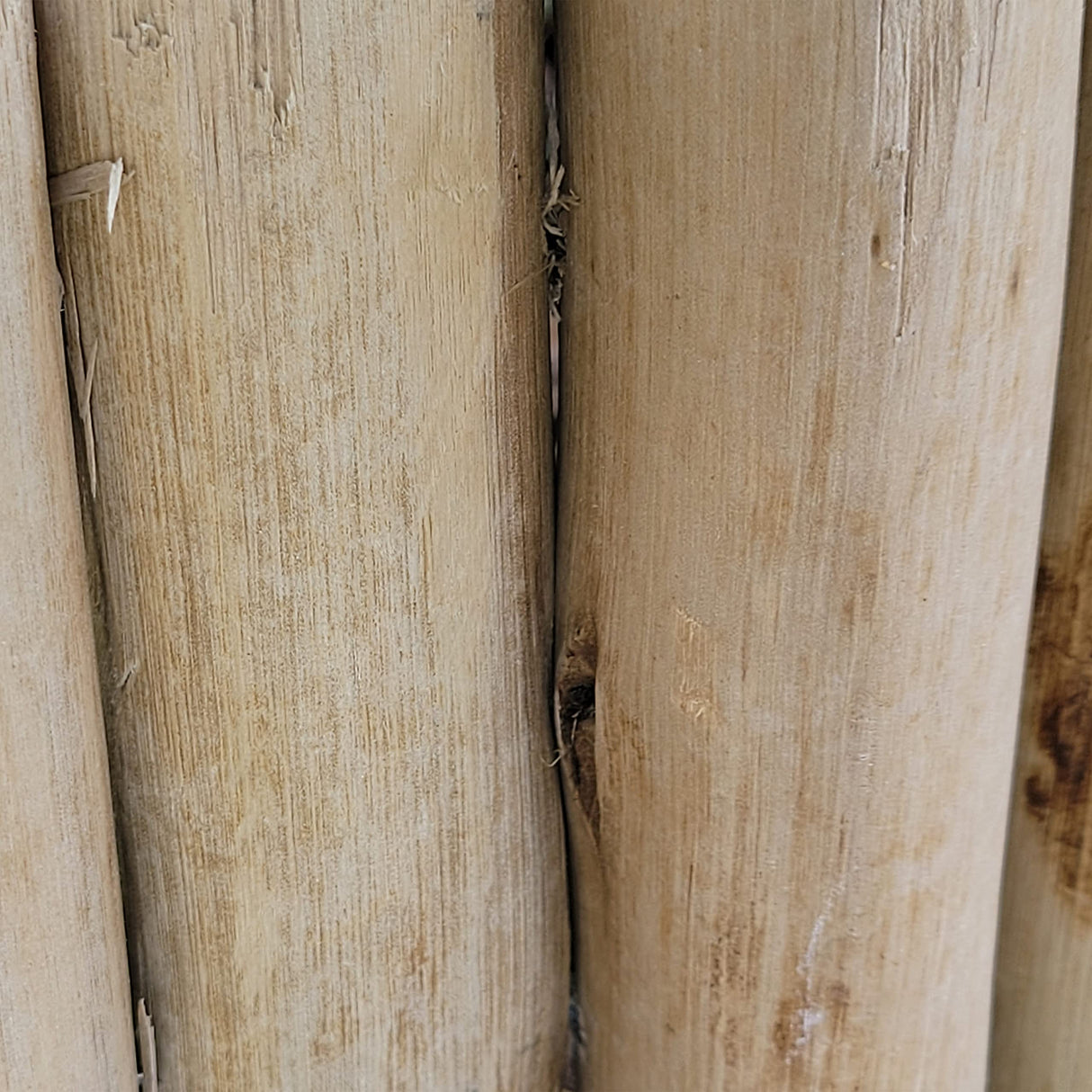 FOREVER BAMBOO Natural Eucalyptus Wood Solid Log for Garden Edging Lawn Landscape Fence Borders 72 in L x 6 in H x 1.25 in D