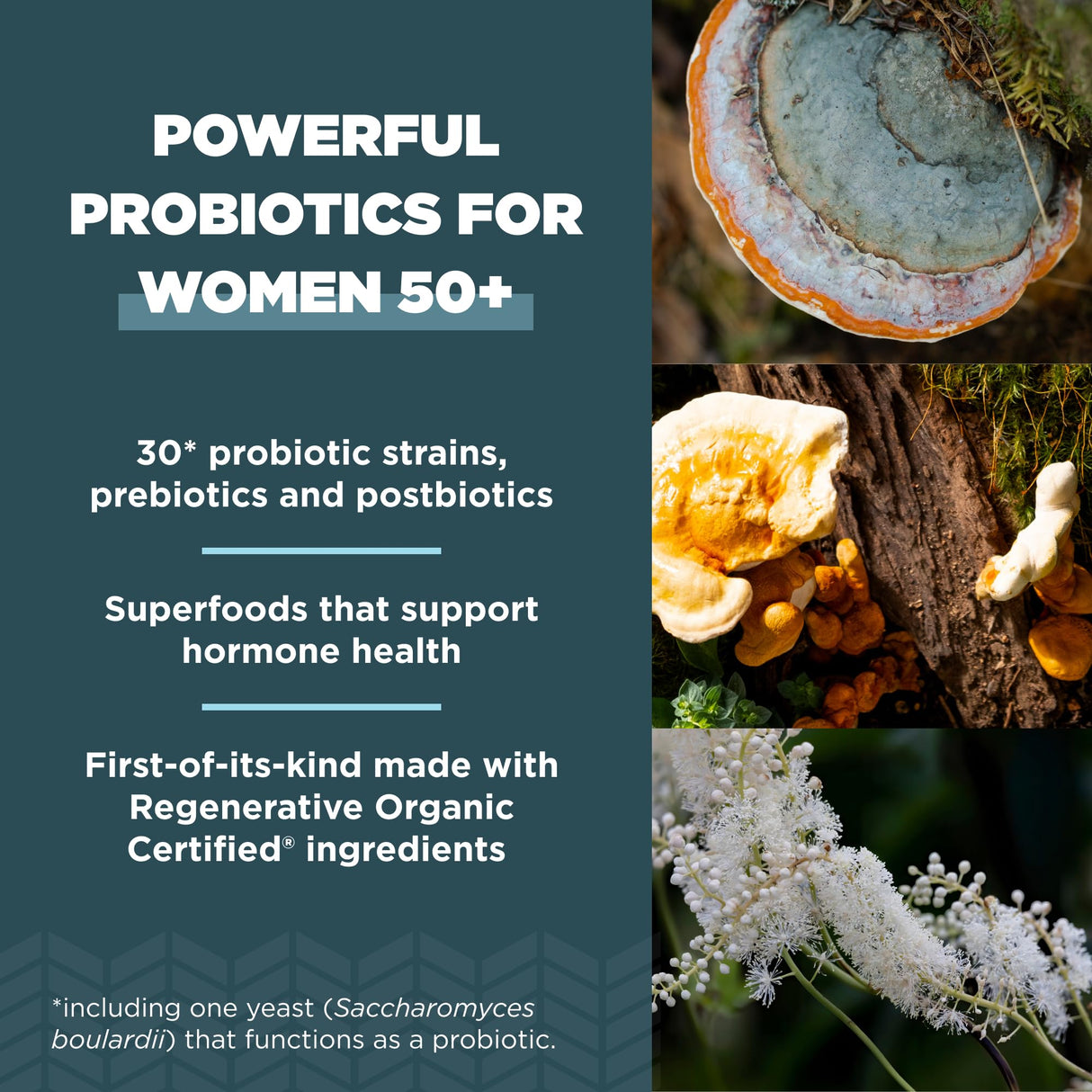 Ancient Nutrition Regenerative Organic Certified Probiotics for Women 50+, Probiotics Women’s 50+ Once Daily, Healthy Digestion and Immune System Support, 25 Billion CFUs* Per Serving, 30 Count