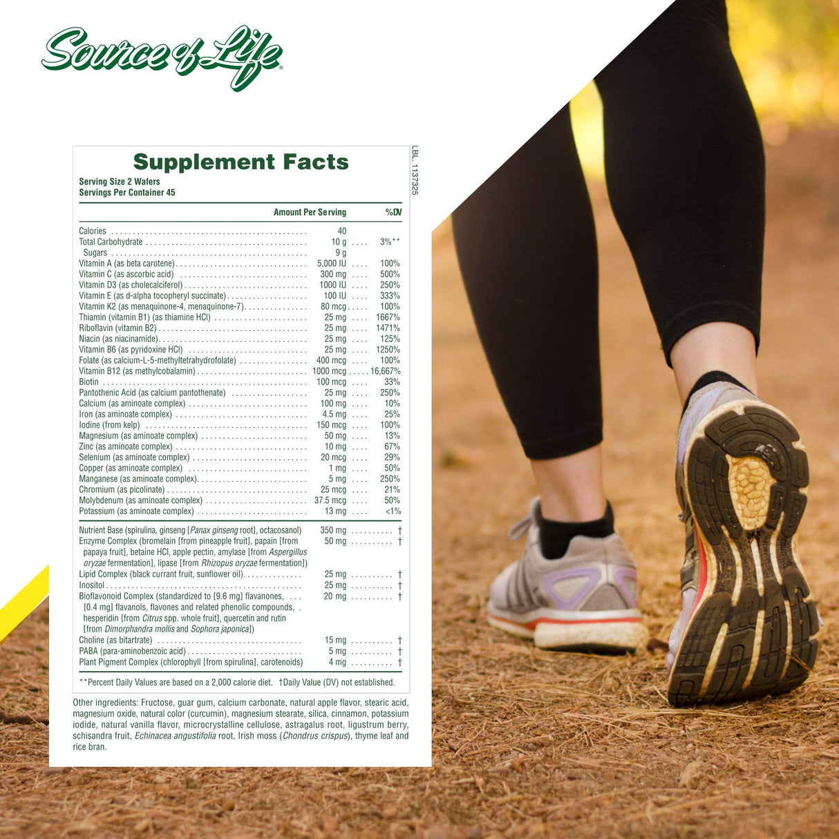 Natures Plus Source of Life Adult Chewable Multivitamin - Apple Cinnamon Flavor - Natural Whole Foods Supplement - Overall Health, Energy - 90 Vegetarian Wafers (45 Servings)